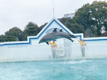 しながわ水族館に投稿された画像（2025/2/2）