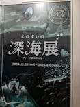 新江ノ島水族館に投稿された画像（2025/2/3）