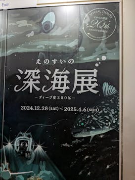新江ノ島水族館に投稿された画像（2025/2/2）