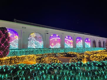 神戸イルミナージュに投稿された画像（2025/2/2）