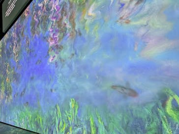 「モネ＆フレンズ・アライブ」神戸展に投稿された画像（2025/2/3）