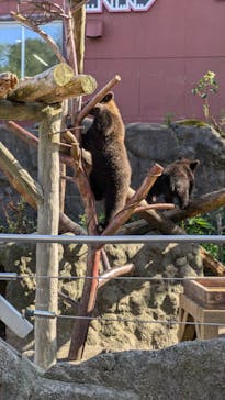 のぼりべつクマ牧場に投稿された画像（2025/2/3）