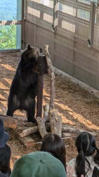 のぼりべつクマ牧場に投稿された画像（2025/2/3）