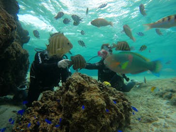 武藤潜水に投稿された画像（2025/2/3）