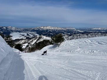 胎内スキー場に投稿された画像（2025/2/3）
