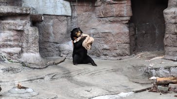 天王寺動物園に投稿された画像（2025/2/3）