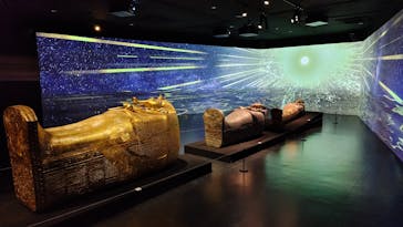MYSTERY OF TUTANKHAMEN 体感型古代エジプト展に投稿された画像（2025/2/3）