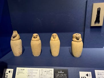 ブルックリン博物館所蔵 特別展 古代エジプトに投稿された画像（2025/2/3）