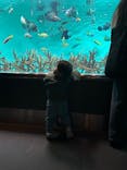 葛西臨海水族園に投稿された画像（2025/2/3）