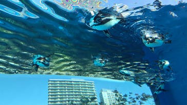 サンシャイン水族館に投稿された画像（2025/2/3）