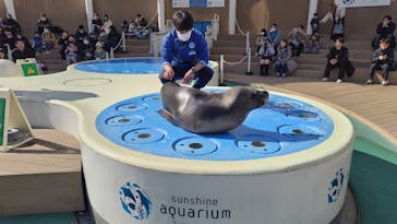 サンシャイン水族館に投稿された画像（2025/2/3）