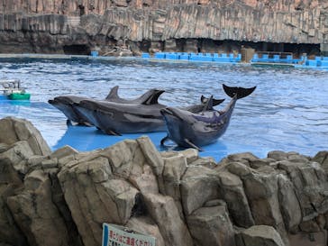 名古屋港水族館に投稿された画像（2025/2/3）