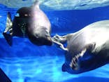 サンシャイン水族館に投稿された画像（2025/2/3）