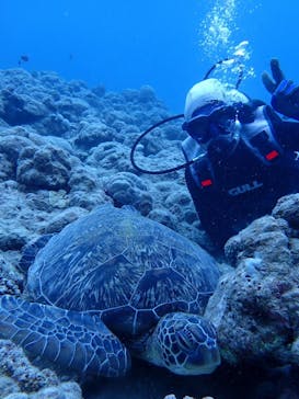 初心者専門店NEOMARINE石垣島に投稿された画像（2025/2/3）