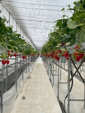 株式会社こまち野に投稿された画像（2025/2/3）