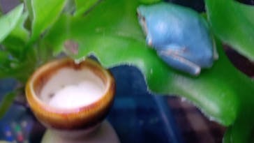 ゼロ距離水族館 伊勢シーパラダイスに投稿された画像（2025/2/3）