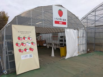 ICHIGOHOUSE.HITACHINAKAに投稿された画像（2025/2/3）