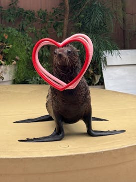 マクセル アクアパーク品川に投稿された画像（2025/2/3）