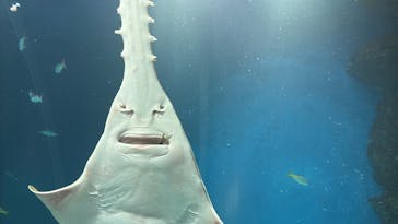 マクセル アクアパーク品川に投稿された画像（2025/2/3）