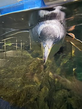 南知多ビーチランド＆南知多おもちゃ王国に投稿された画像（2025/2/3）