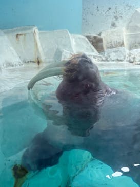 南知多ビーチランド＆南知多おもちゃ王国に投稿された画像（2025/2/3）