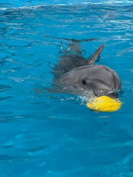 南知多ビーチランド＆南知多おもちゃ王国に投稿された画像（2025/2/3）