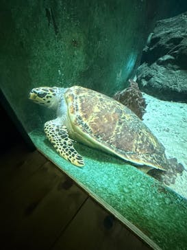 南知多ビーチランド＆南知多おもちゃ王国に投稿された画像（2025/2/3）