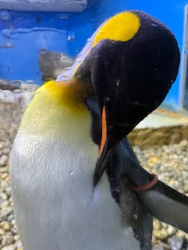 南知多ビーチランド＆南知多おもちゃ王国に投稿された画像（2025/2/3）