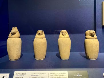 ブルックリン博物館所蔵 特別展 古代エジプトに投稿された画像（2025/2/3）