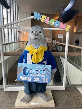 大分マリーンパレス水族館 「うみたまご」に投稿された画像（2025/2/3）