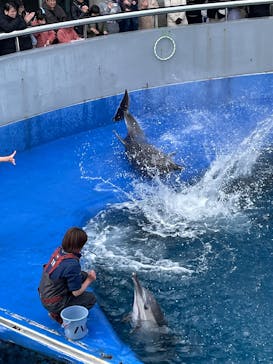大分マリーンパレス水族館 「うみたまご」に投稿された画像（2025/2/3）