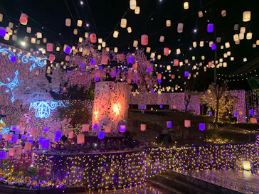 ひらかたパークに投稿された画像（2025/2/3）