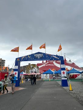 木下大サーカス鹿児島公演に投稿された画像（2025/2/3）