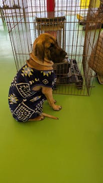 つくばわんわんランドに投稿された画像（2025/2/3）