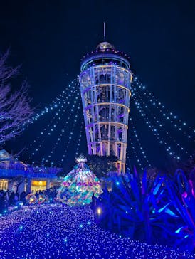 江の島シーキャンドルに投稿された画像（2025/2/3）