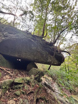 Yamakara屋久島に投稿された画像（2025/2/3）