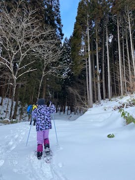 白神山地森のえき（（一社）白神山地ふじさと観光協会）に投稿された画像（2025/2/3）