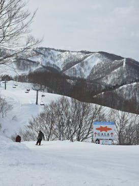 三山BIG　MOUNTAIN　湯沢スノーリンクに投稿された画像（2025/2/3）