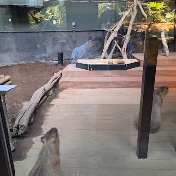 カワスイ 川崎⽔族館に投稿された画像（2025/2/3）