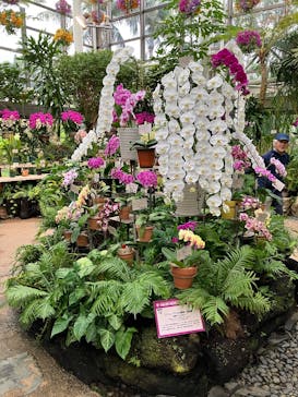 沖縄美ら海水族館×熱帯ドリームセンターに投稿された画像（2025/2/3）