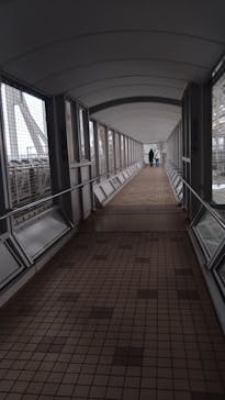 徳島県立 渦の道に投稿された画像（2025/2/3）