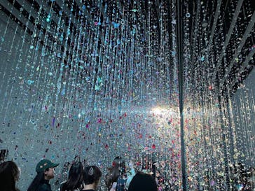 蜷川実花展 with EiM：彼岸の光、此岸の影 NINAGAWA Mika with EiM：Lights of the beyond, Shadows of this worldに投稿された画像（2025/2/3）