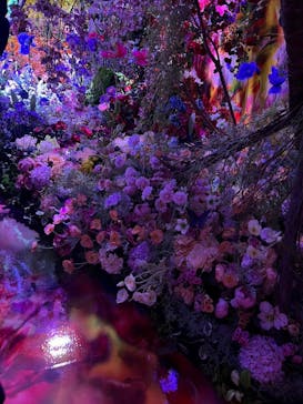 蜷川実花展 with EiM：彼岸の光、此岸の影 NINAGAWA Mika with EiM：Lights of the beyond, Shadows of this worldに投稿された画像（2025/2/3）