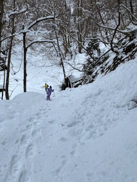 白神山地森のえき（（一社）白神山地ふじさと観光協会）に投稿された画像（2025/2/3）