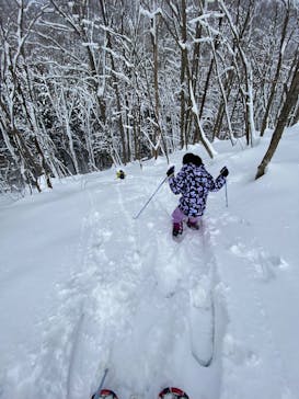 白神山地森のえき（（一社）白神山地ふじさと観光協会）に投稿された画像（2025/2/3）