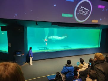 鴨川シーワールドに投稿された画像（2025/2/4）