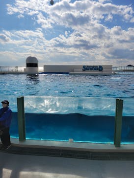 鴨川シーワールドに投稿された画像（2025/2/4）