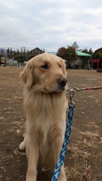 つくばわんわんランドに投稿された画像（2025/2/4）