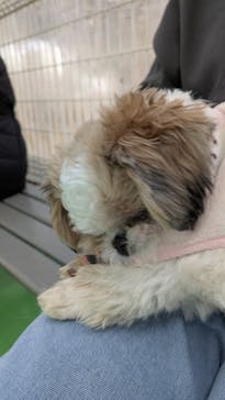 つくばわんわんランドに投稿された画像（2025/2/4）