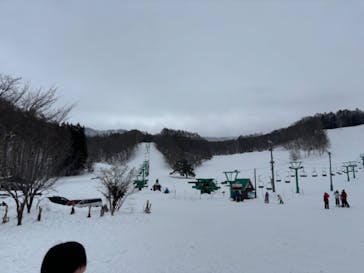 水上高原 藤原スキー場に投稿された画像（2025/2/4）